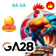s66 Game 01